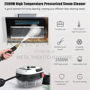 Portable Multifunction High Pressure Steam Cleaning Machine 2500w