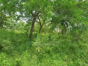 Plot Plot for Sale