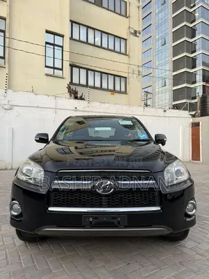 Toyota RAV4 2010 Black