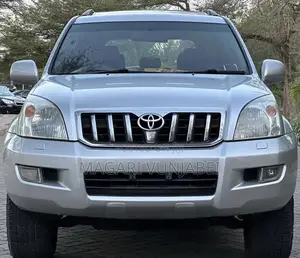 Toyota Land Cruiser 2004 Silver