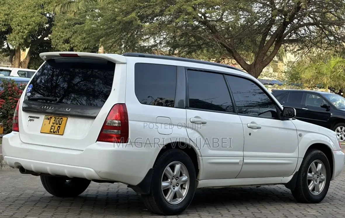 Subaru Forester 2005 White
