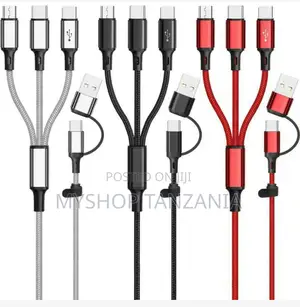 Three in One Cable