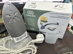 Portable Mini Electric Travel Steamer Iron