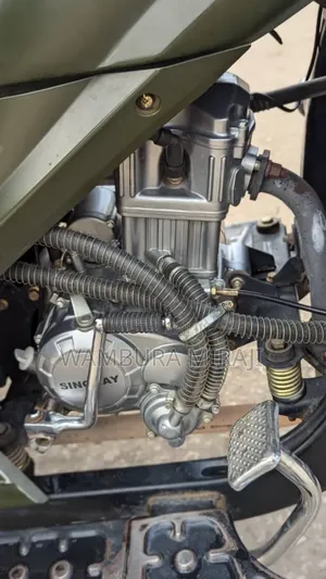 Bajaj Avenger 220 Cruise 2025 Green