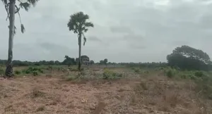 Prime Beach Plot for Sale at Kigamboni