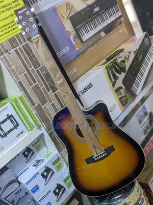 Acoustic Guitar Electric