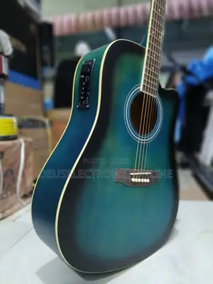 Acoustic Guitar Electric