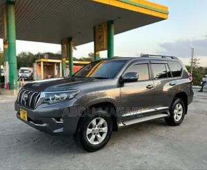Toyota Land Cruiser Prado 2015 Gray