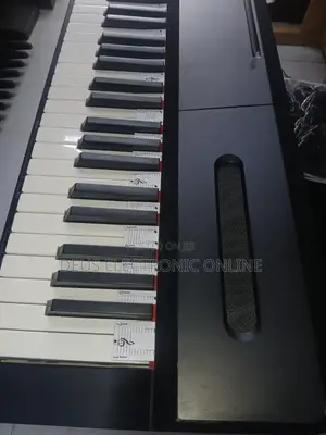 Electric Keyboards 88key Studio
