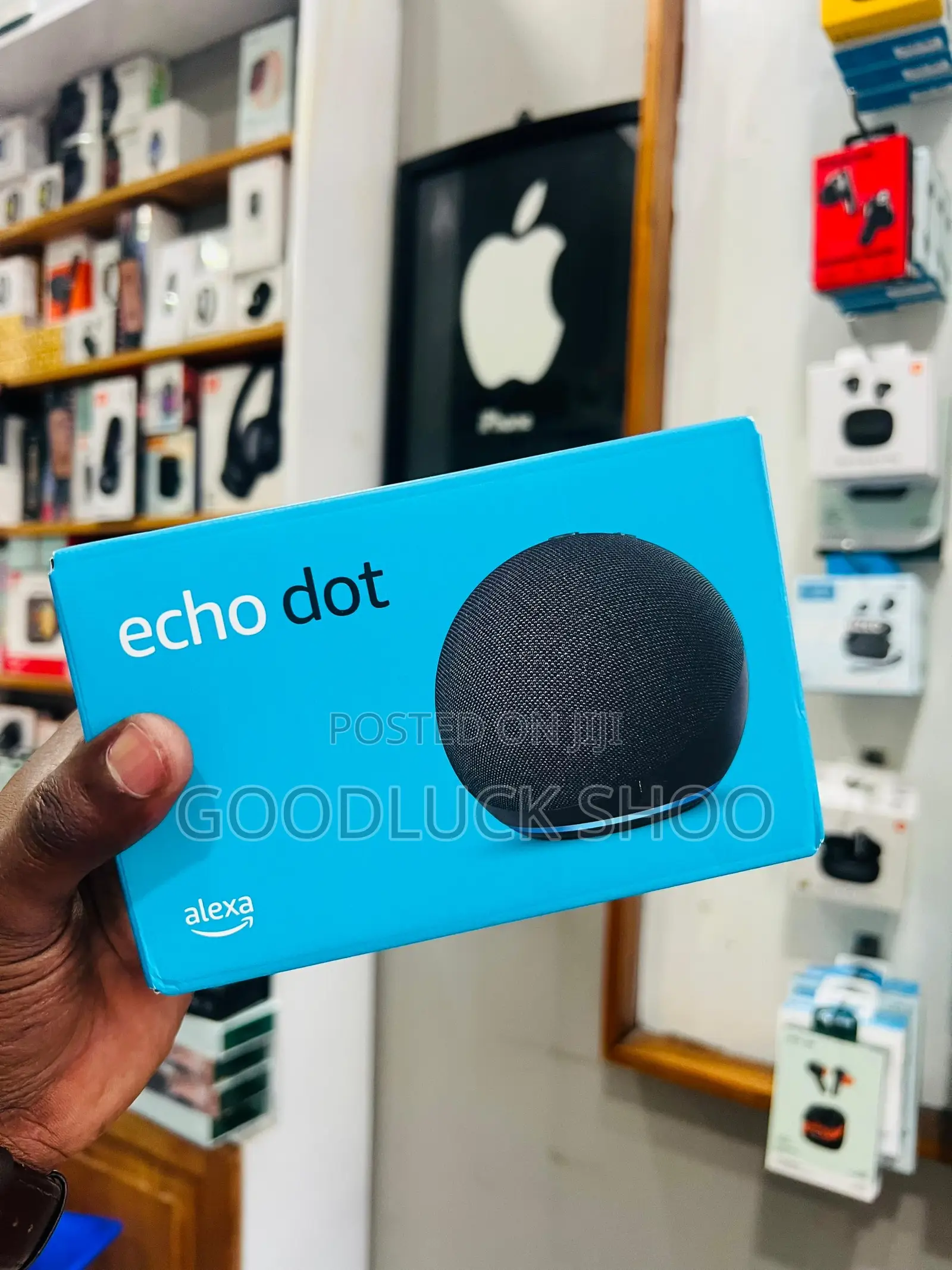 Echo Dot Alexa