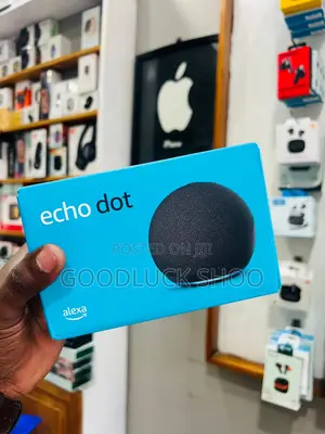 Echo Dot Alexa