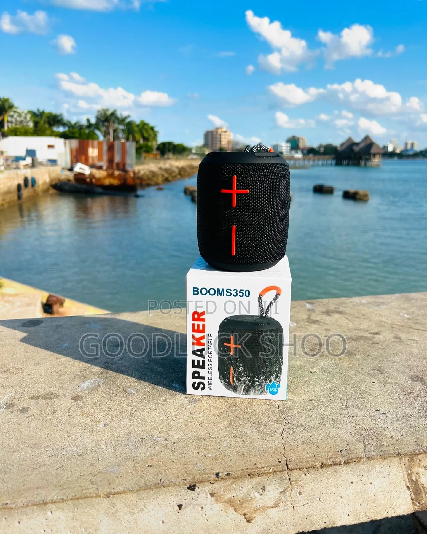 Boom350 Speaker