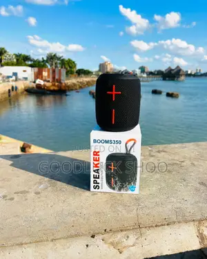 Boom350 Speaker