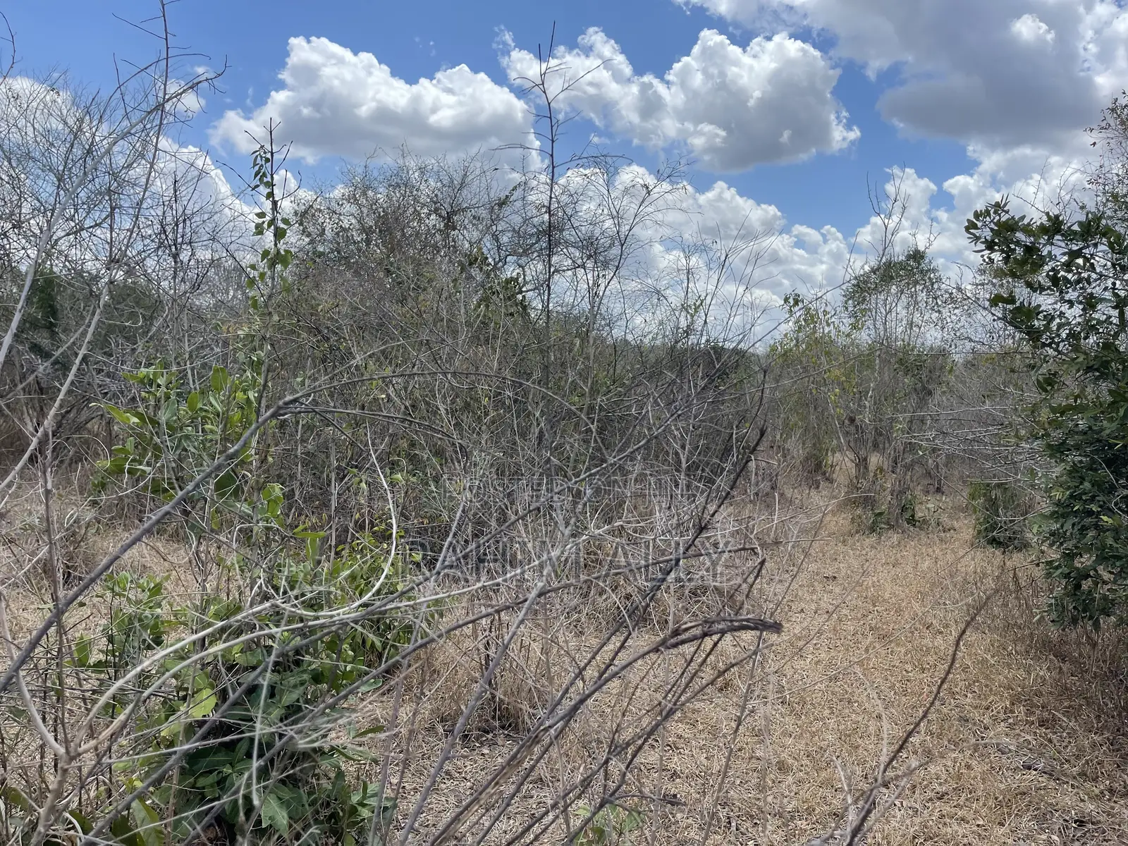 Shamba Linauzwa Ludiga Hekari 80