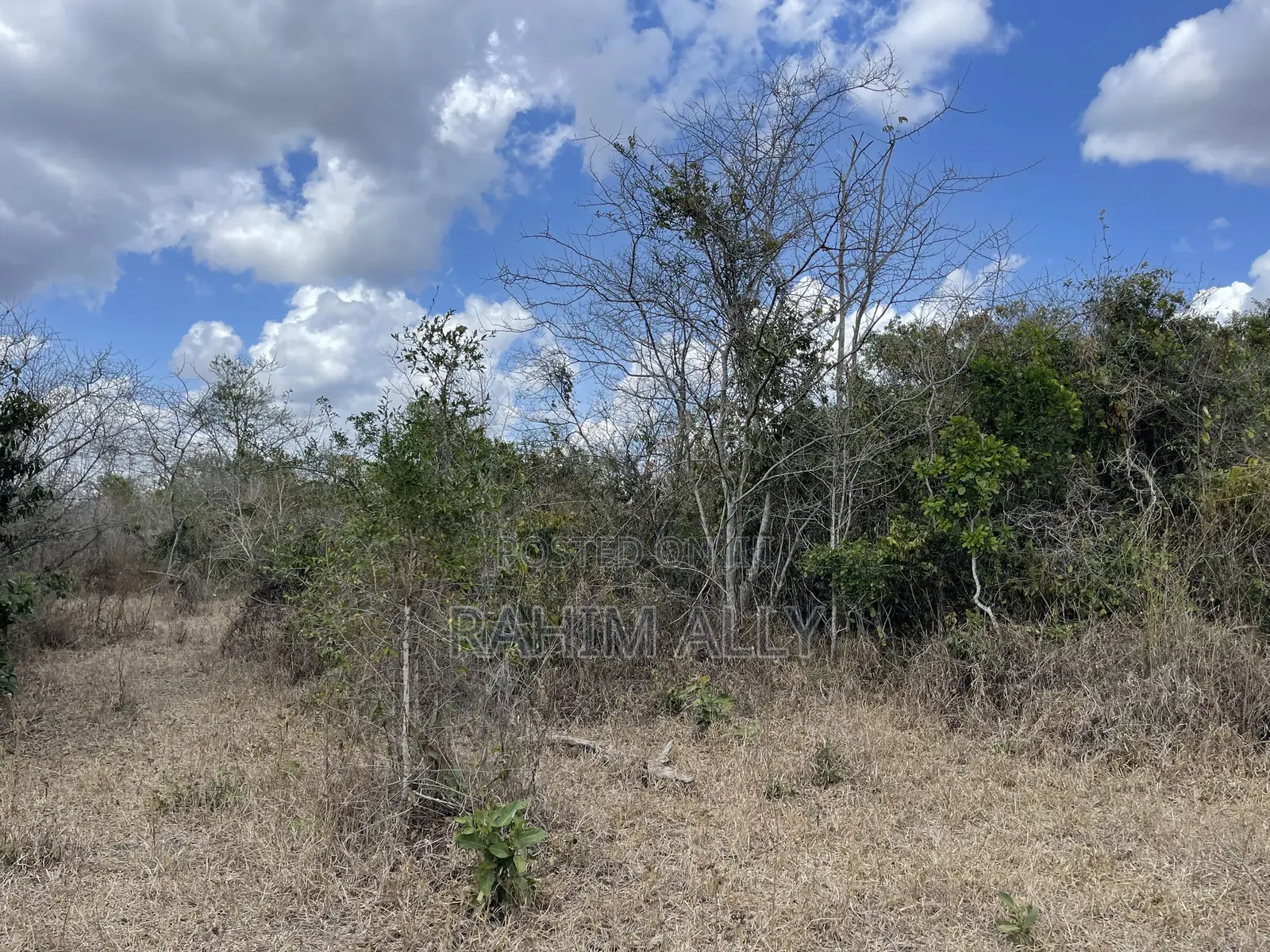 Shamba Linauzwa Ludiga Hekari 80