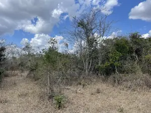 Shamba Linauzwa Ludiga Hekari 80