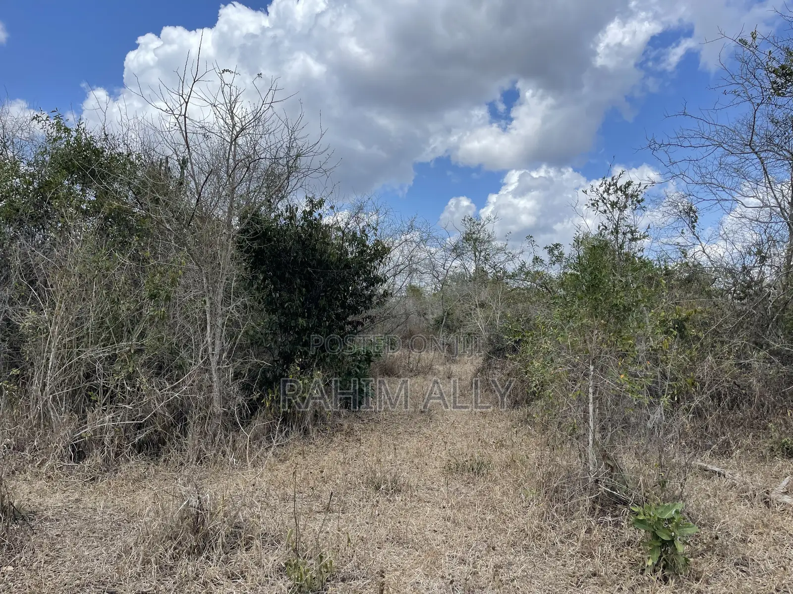 Shamba Linauzwa Ludiga Hekari 80