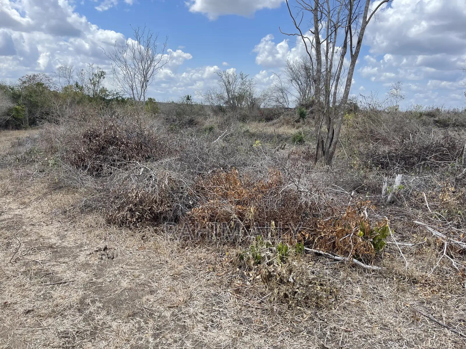 Shamba Linauzwa Ludiga Hekari 80