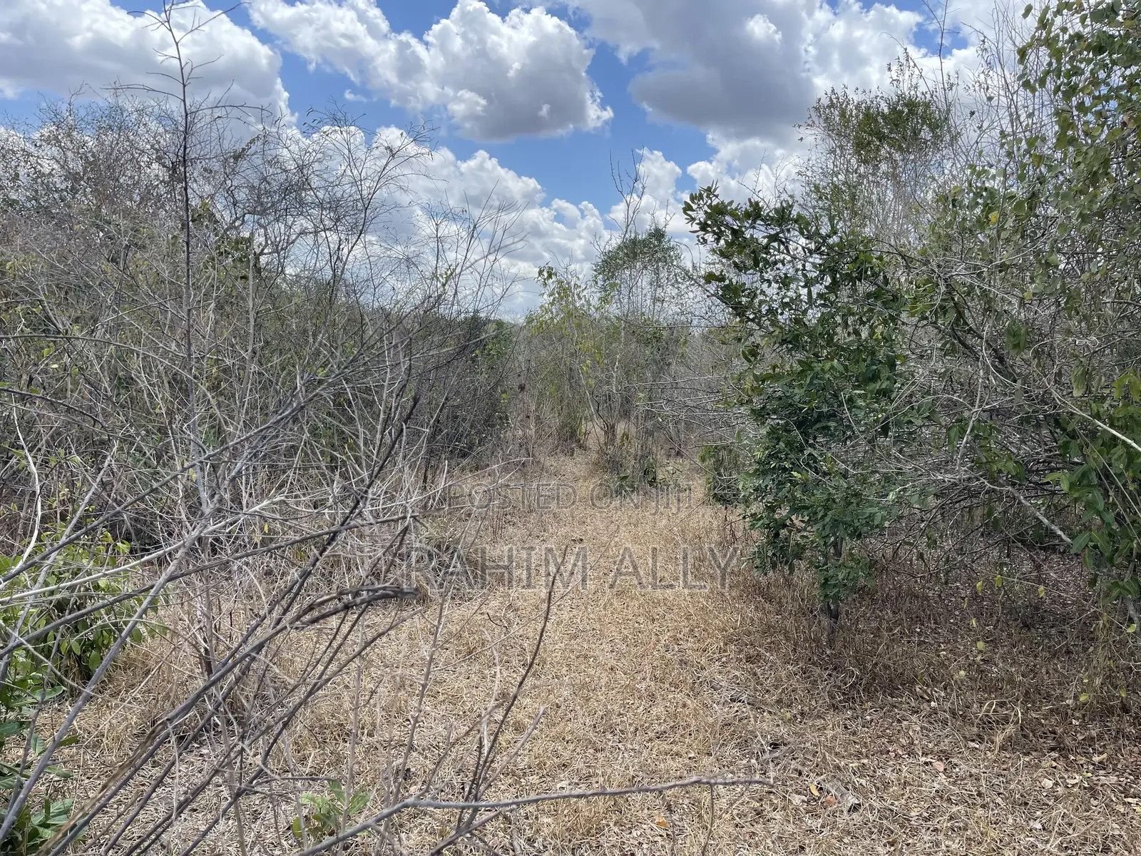 Shamba Linauzwa Ludiga Hekari 80