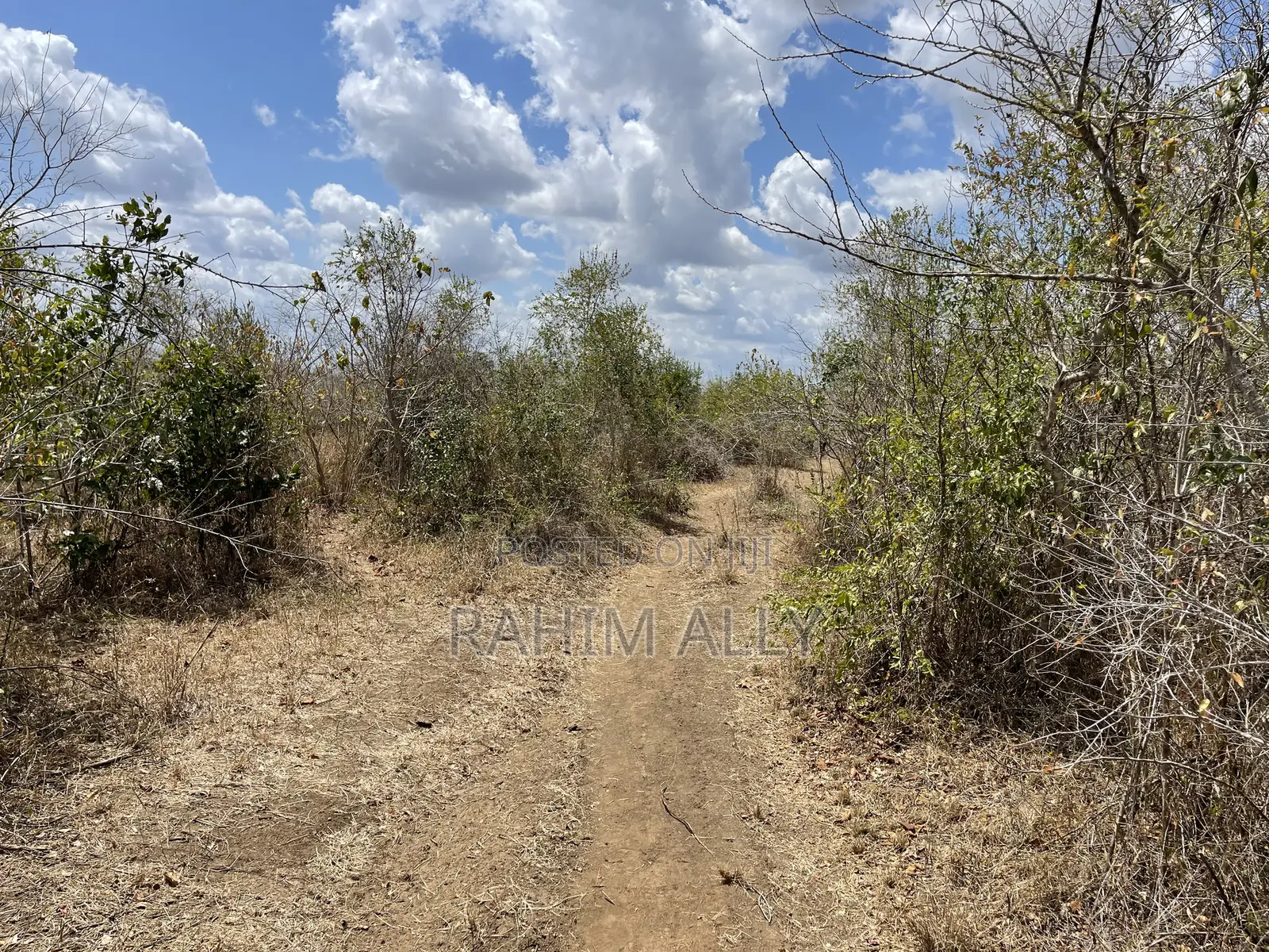 Shamba Linauzwa Ludiga Hekari 80