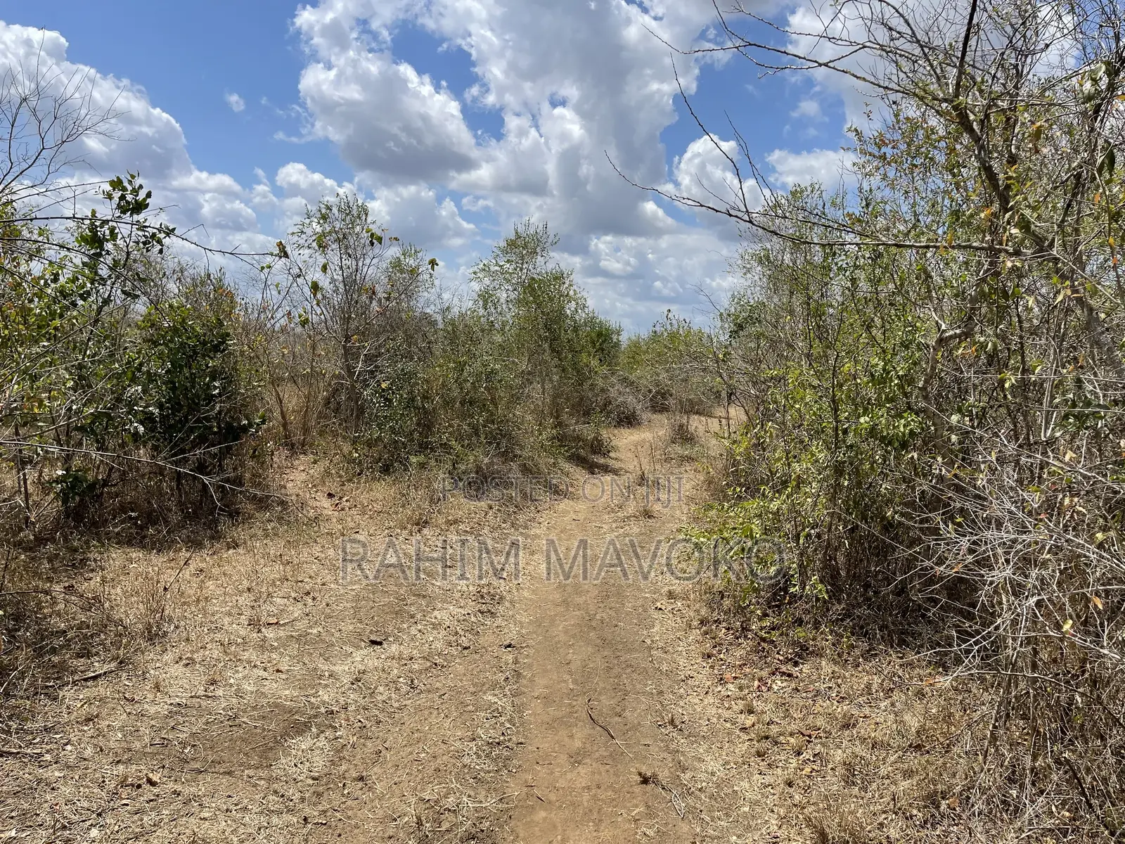 Shamba Linauzwa Ludiga Hekari 80