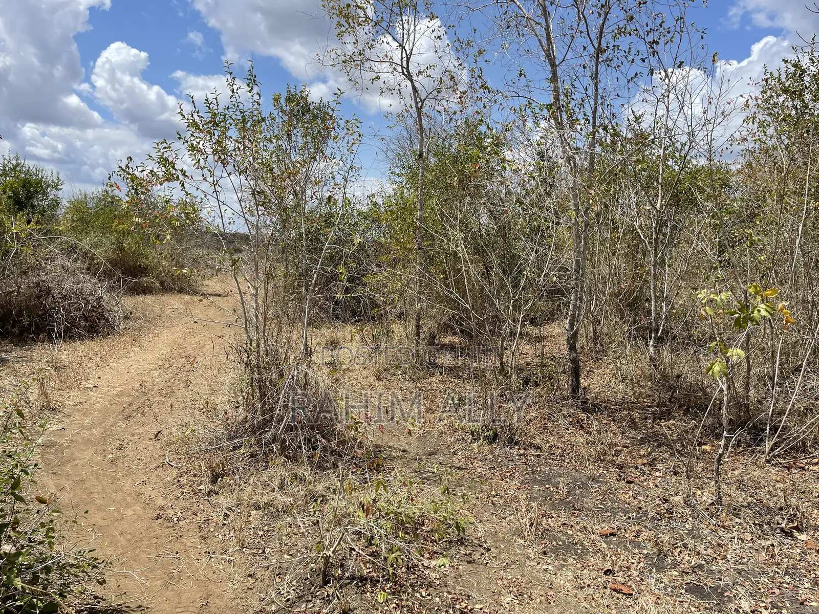 Shamba Linauzwa Ludiga Hekari 80