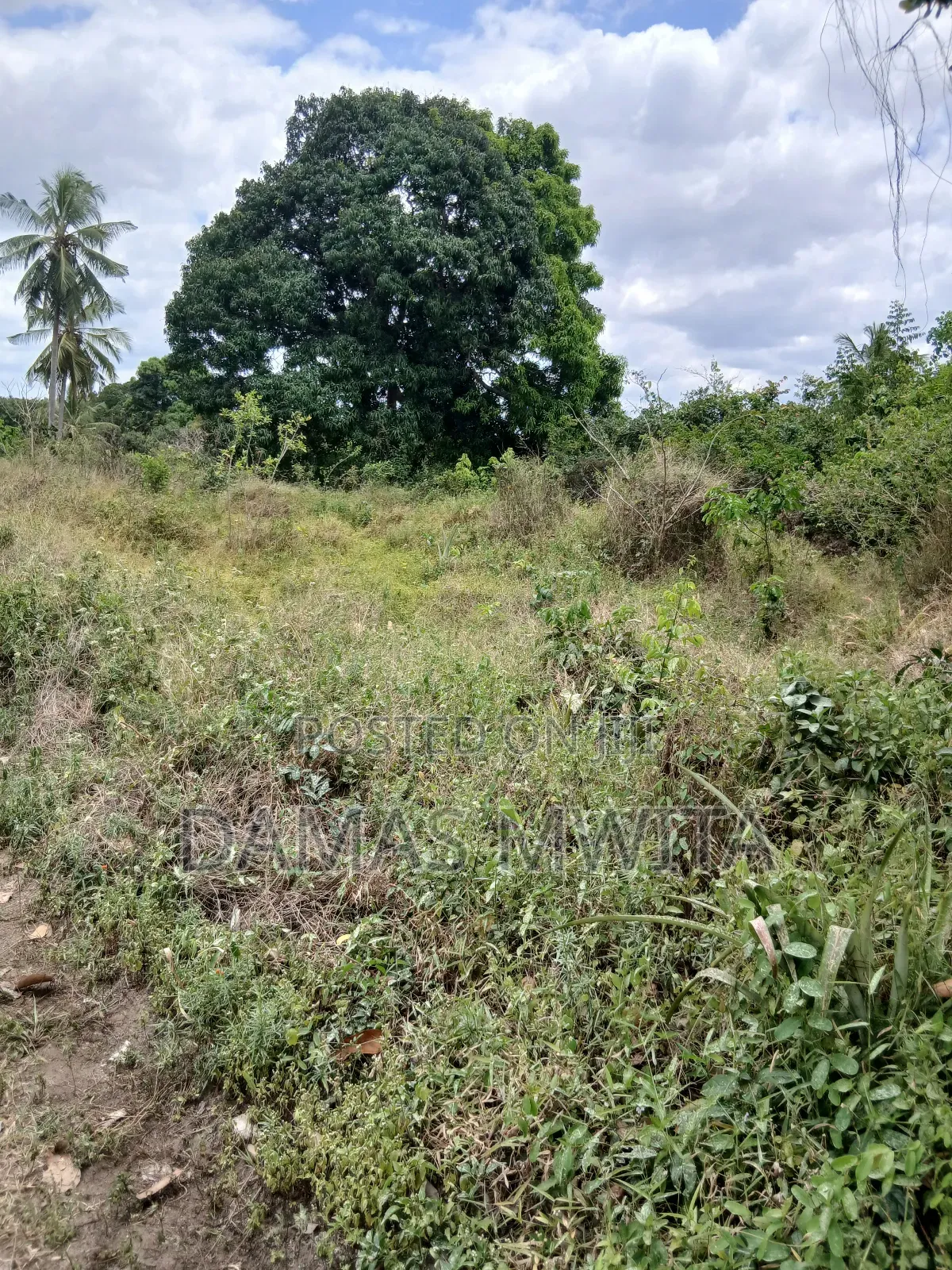 30 Acres Strategic Land for Sale