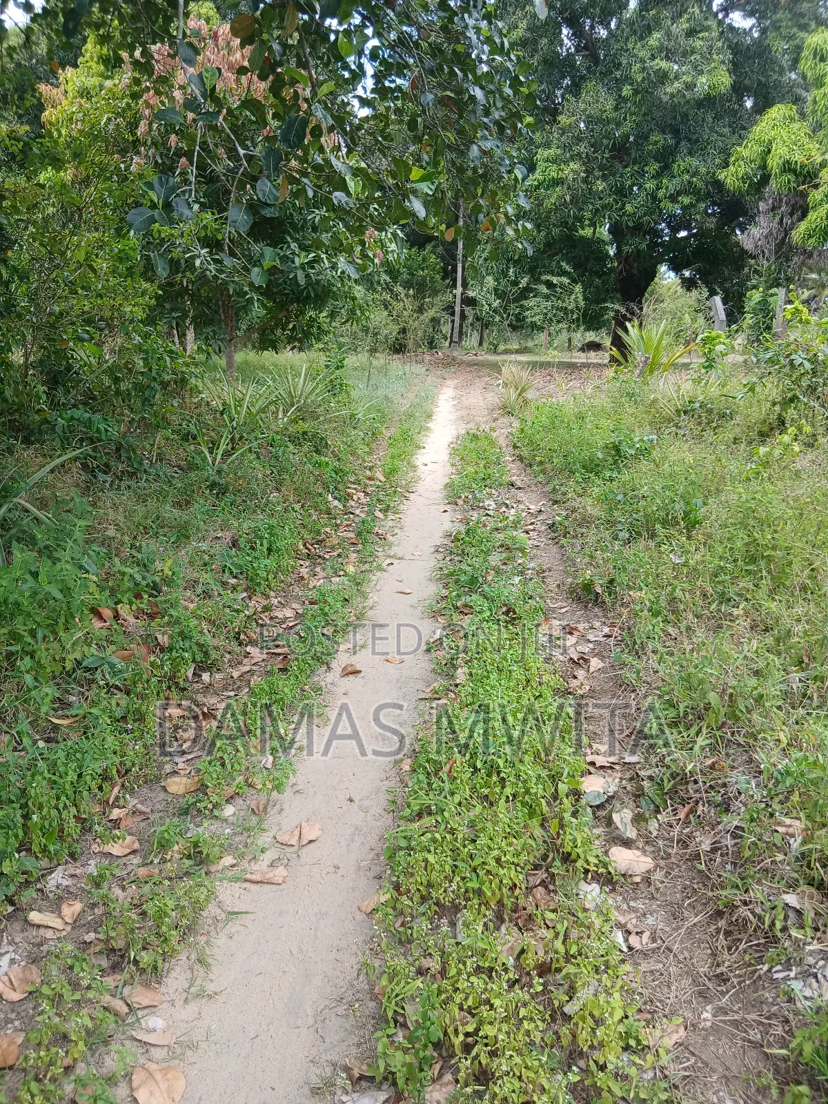 30 Acres Strategic Land for Sale