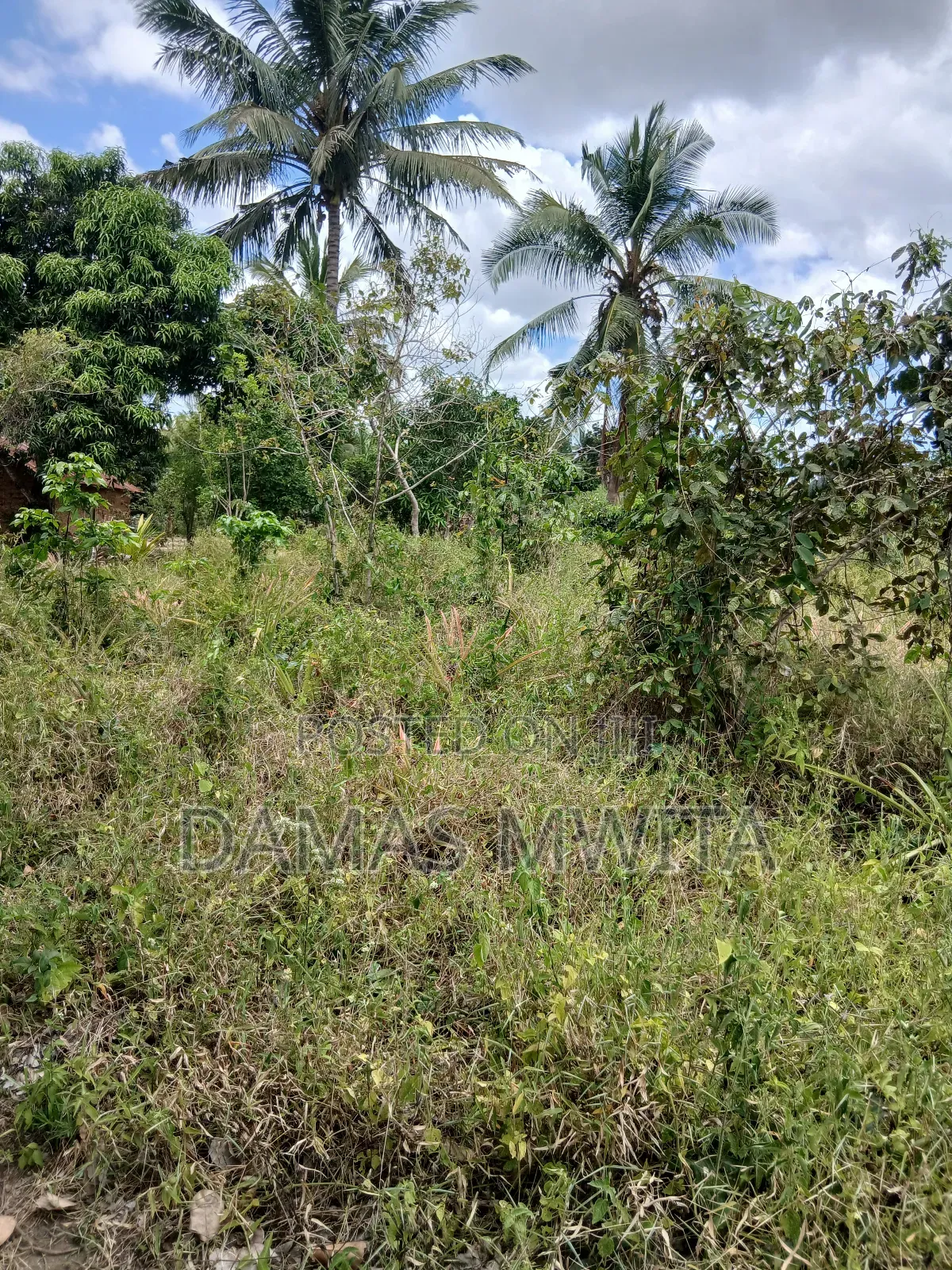 30 Acres Strategic Land for Sale