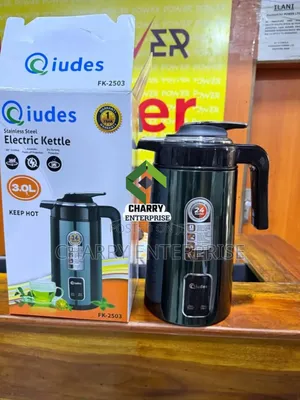 Qiudes Stainless Steel Electric Kettle With Keep Hot Function 3l