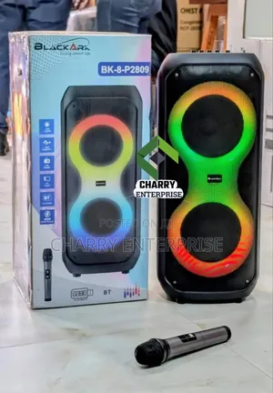 Blackark Powerful Rechargeable Speaker Mic for Home, Church, Business
