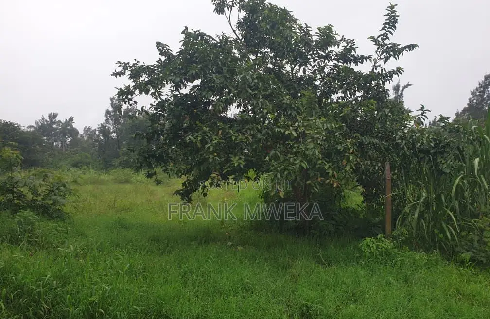 Kiwanja Kinauzwa Njiro 32*65