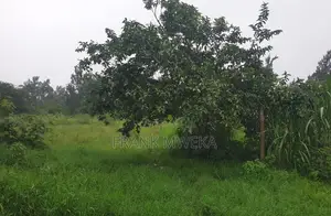 Kiwanja Kinauzwa Njiro 32*65