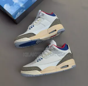 Air Jordan 3
