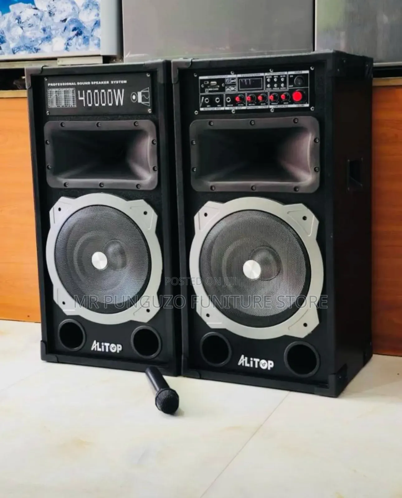 Model:9031 Watts 4000w