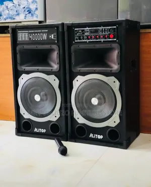 Model:9031 Watts 4000w