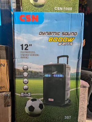 CSN 12" Portable Speaker