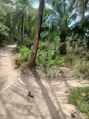 Prime Road=Front Plot for Sale Mkuranga Town