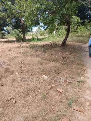 Prime Road=Front Plot for Sale Mkuranga Town