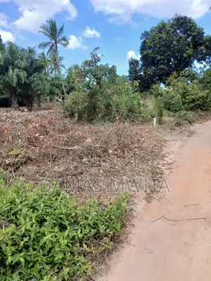 Prime Road=Front Plot for Sale Mkuranga Town