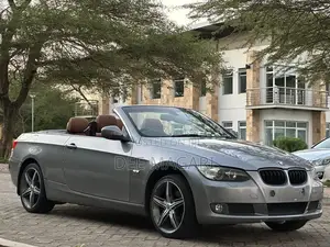 BMW 3 Series 323i RWD 2009 Gray