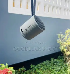 Sony Xb100