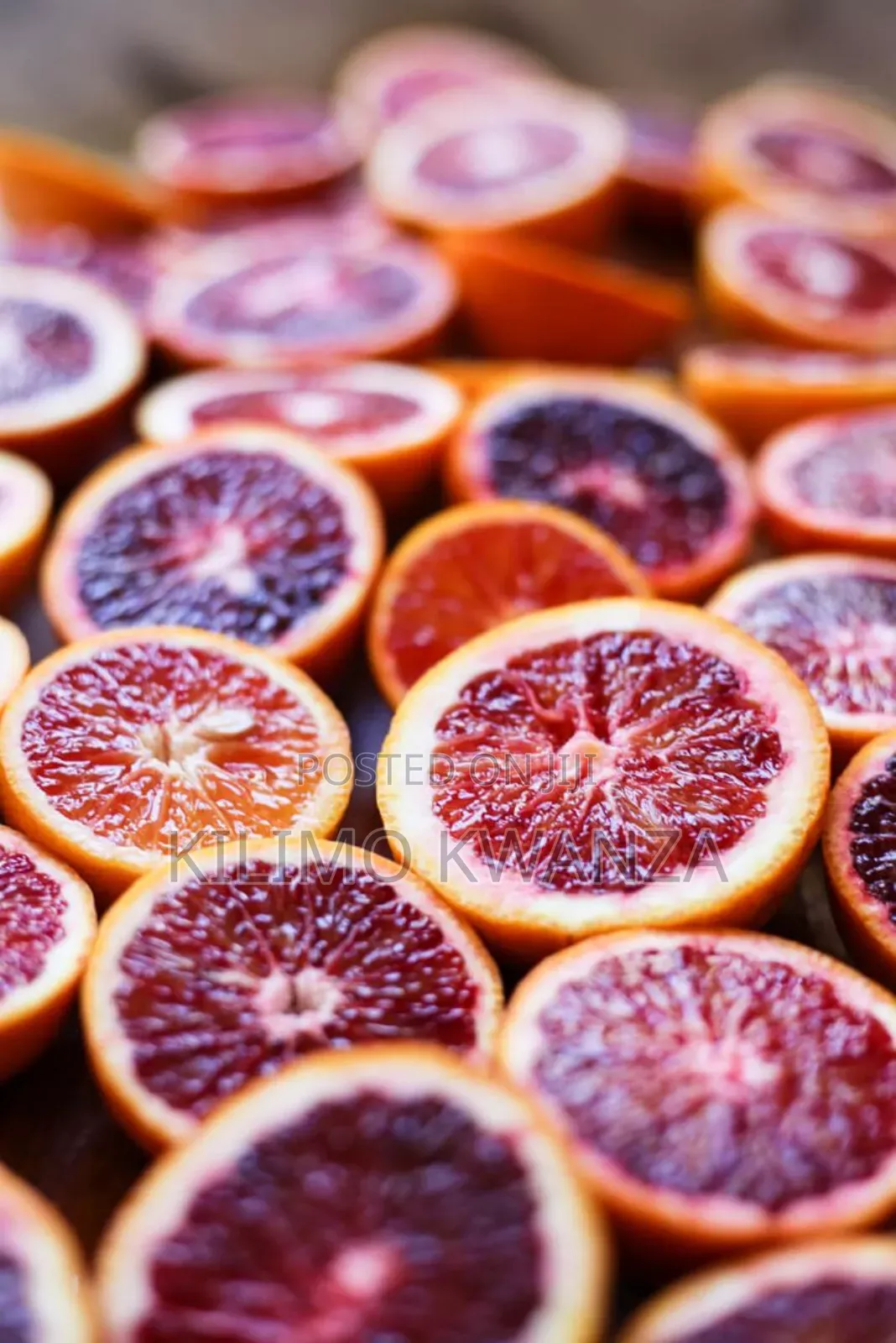 Miche Ya Blood Orange