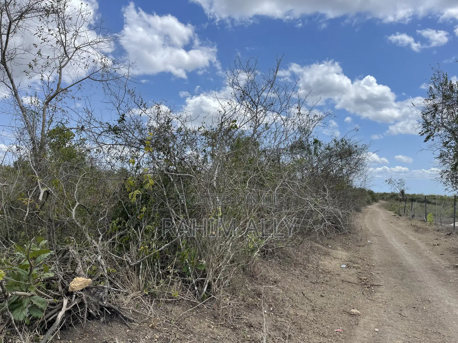 Shamba Linauzwa