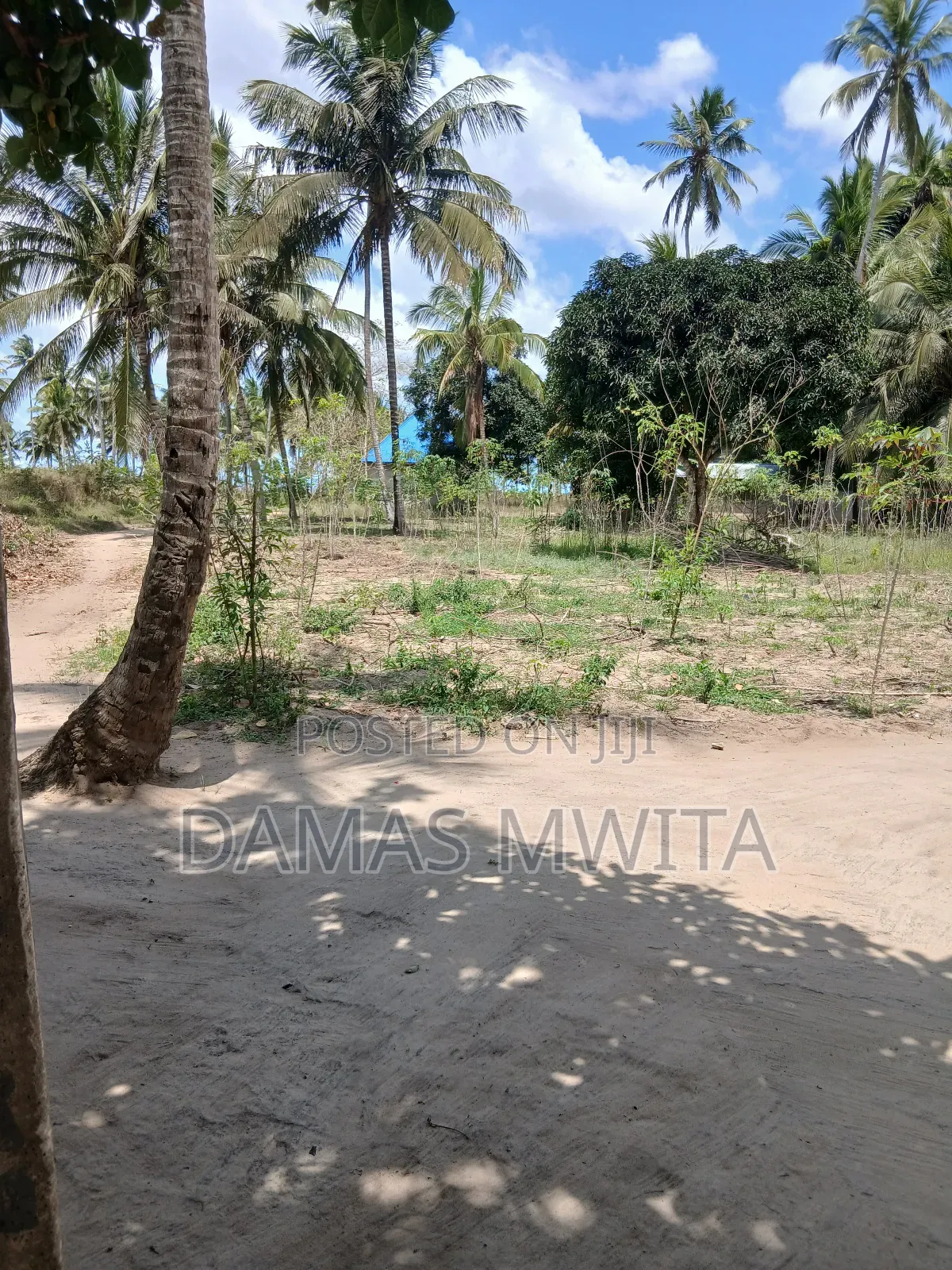Strategic Road-Front Plot for Sale