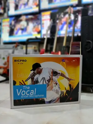 Bicpro Wireless Mic