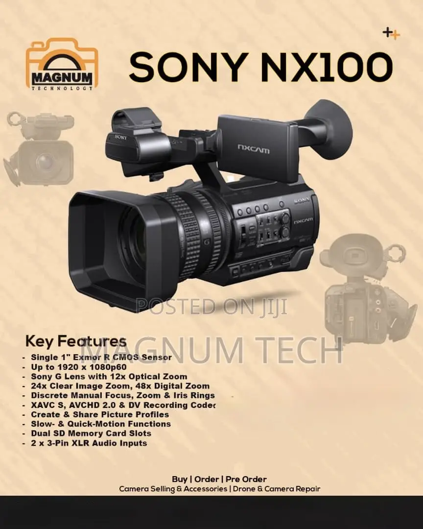Sony Nx100