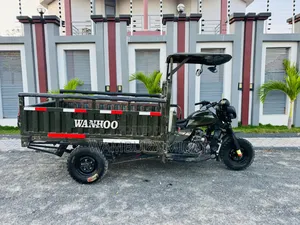 Bajaj 2024 Green
