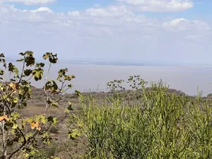 Eneo La 8 Acres Lenye View Ya Hifadhi Na Ziwa Manyara Linauzwa