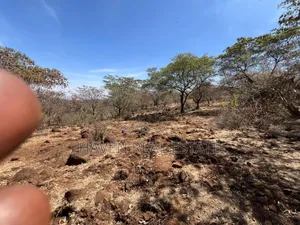 Eneo La 8 Acres Lenye View Ya Hifadhi Na Ziwa Manyara Linauzwa